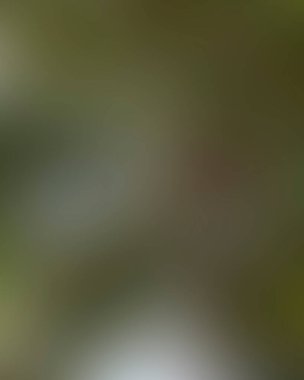 Renklerin soyut bulanık arkaplanı