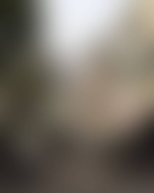 Renklerin soyut bulanık arkaplanı