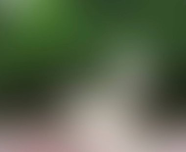 Renklerin soyut bulanık arkaplanı