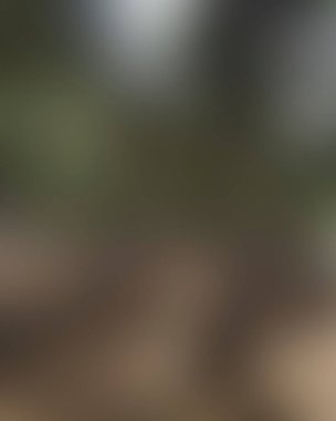 Renklerin soyut bulanık arkaplanı