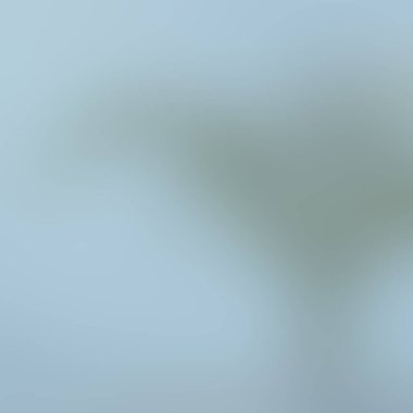 Renklerin soyut bulanık arkaplanı