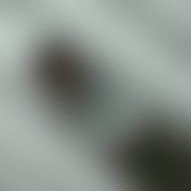 Renklerin soyut bulanık arkaplanı