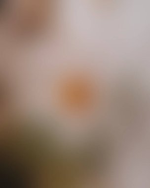 Renklerin soyut bulanık arkaplanı