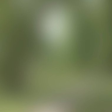 Renklerin soyut bulanık arkaplanı