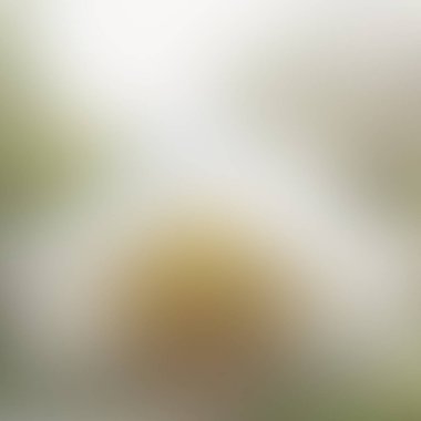 Renklerin soyut bulanık arkaplanı