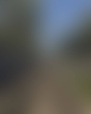 Renklerin soyut bulanık arkaplanı