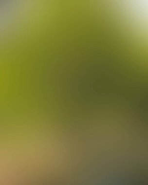 Renklerin soyut bulanık arkaplanı