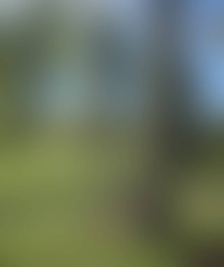 Renklerin soyut bulanık arkaplanı