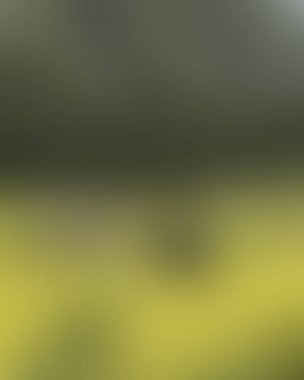 Renklerin soyut bulanık arkaplanı