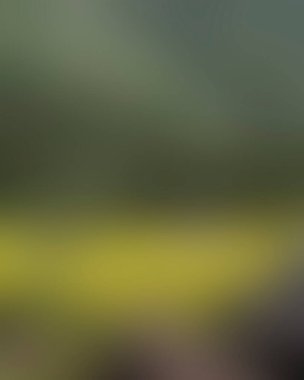 Renklerin soyut bulanık arkaplanı