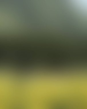 Renklerin soyut bulanık arkaplanı