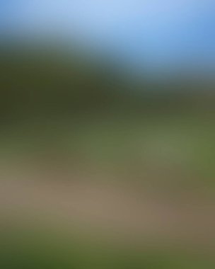 Renklerin soyut bulanık arkaplanı