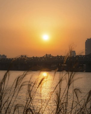 Güzel gün batımı manzarası