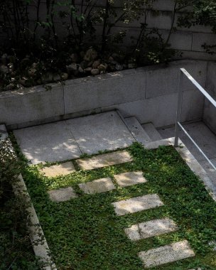 Şehir parkında yeşil çimenli boş bank