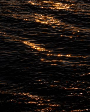 Deniz dalgaları ve güneş ışığı.