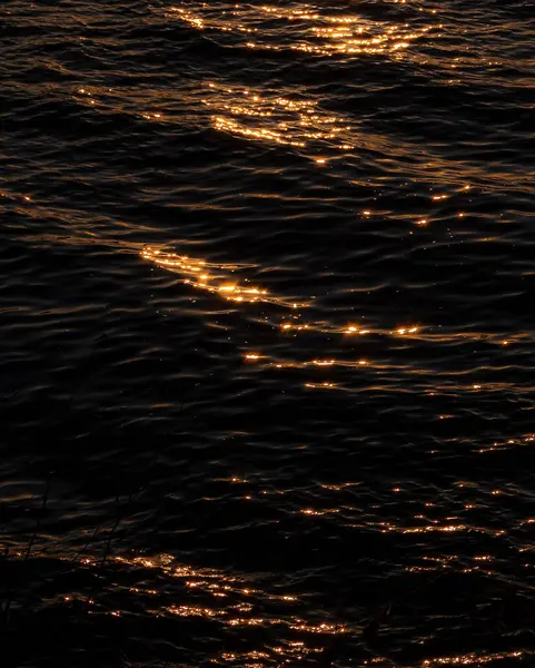 Deniz dalgaları ve güneş ışığı.