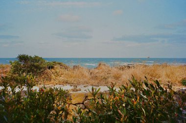 Güzel bir manzara Ağacı ve mavi gökyüzü