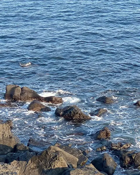 Sabah Karadeniz kıyısında dalgalar ve deniz.