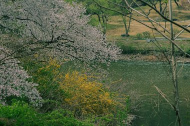 Parkın güzel manzarası