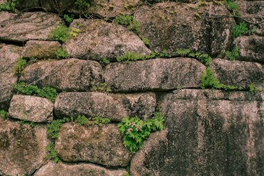 Taş duvar arkaplan dokusu