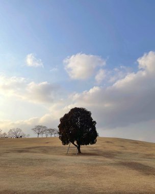 Doğanın güzel manzarası