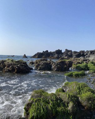 İsrail 'in kuzeyindeki Akdeniz kıyısında.