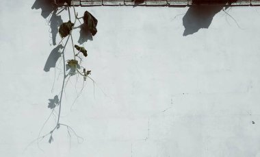 Eski terk edilmiş fabrika binası