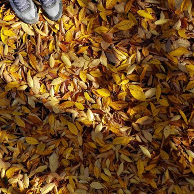 Doğa ve şehir manzarası 