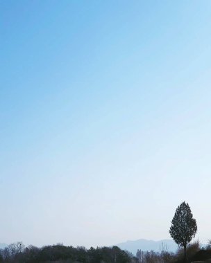 Doğa ve şehir manzarası 