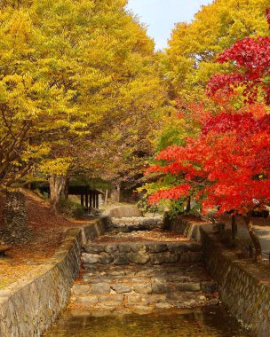 Doğa ve şehir manzarası 