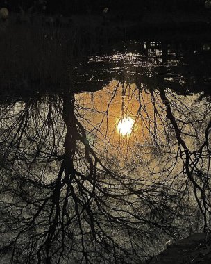 Doğa ve şehir manzarası 