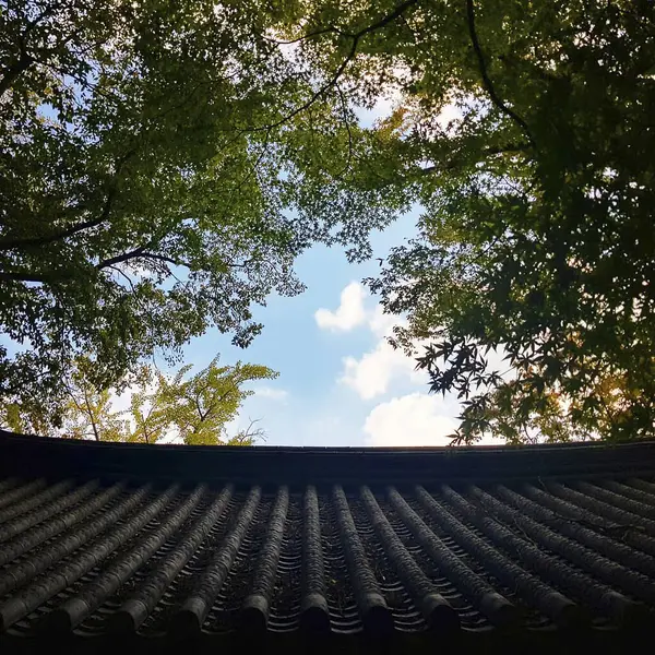 Doğa ve şehir manzarası 