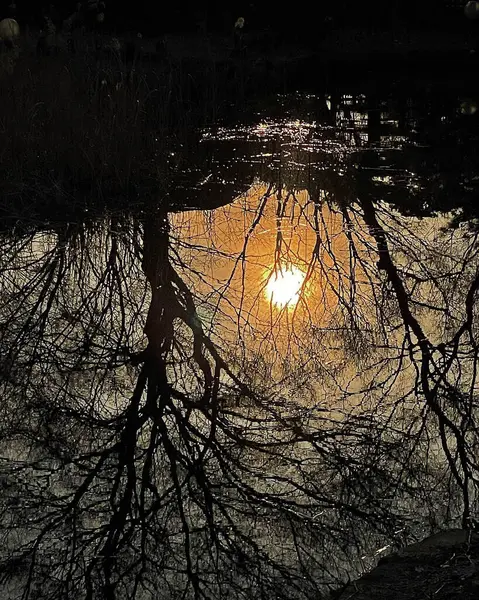 Doğa ve şehir manzarası 