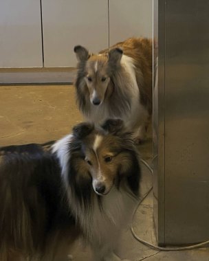 Doğa ve şehir manzarası 