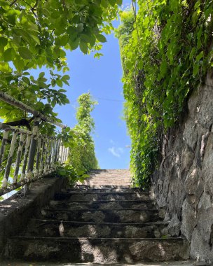 Doğa ve şehir manzarası 