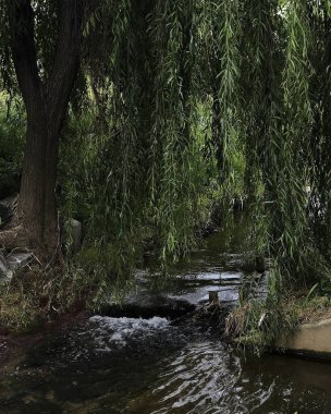 Doğa ve şehir manzarası 