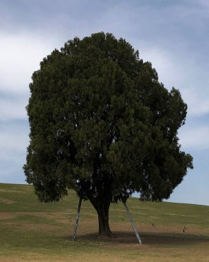 Doğa ve şehir manzarası 