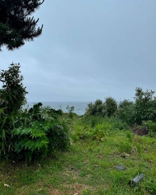 Doğa ve şehir manzarası 