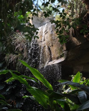 Doğa ve şehir manzarası 