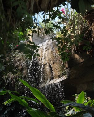 Doğa ve şehir manzarası 