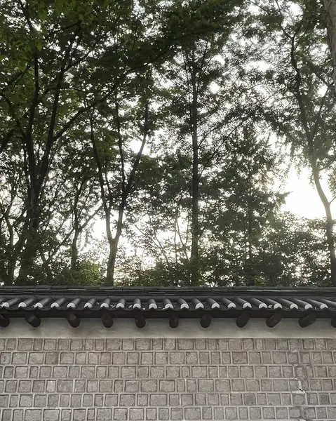 Doğa ve şehir manzarası 