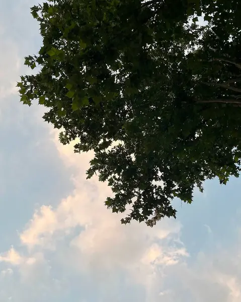 Doğa ve şehir manzarası 