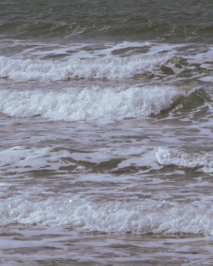 Abstract blur background of colors mixed 