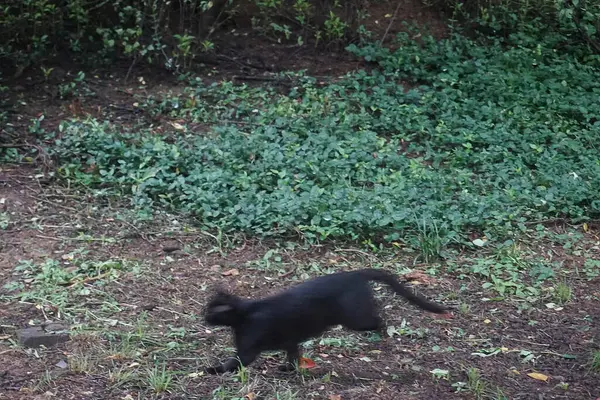 Doğa ve şehir manzarası 