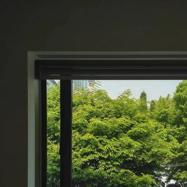 Doğa ve şehir manzarası 