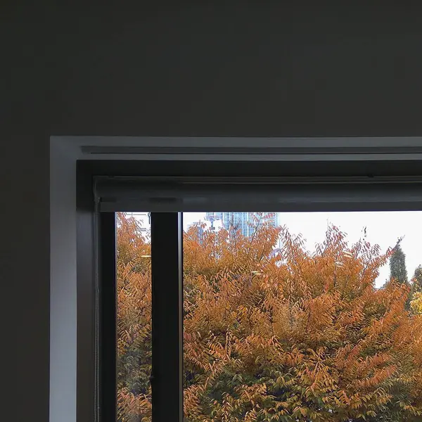 Doğa ve şehir manzarası 