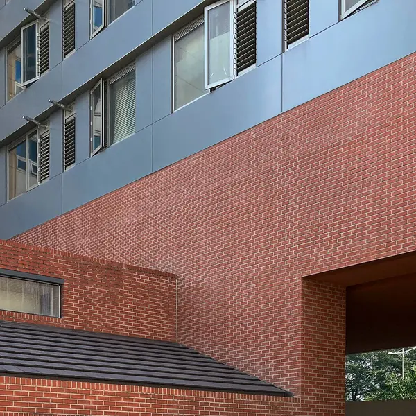 Doğa ve şehir manzarası 