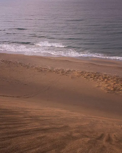 Doğa ve şehir manzarası 