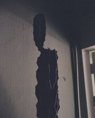 Fırçalı bir adamın siyah beyaz fotoğrafı.