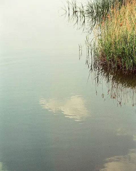 Güzel göl manzarası